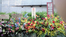 花2.jpg