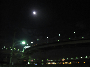 海岸月.jpg